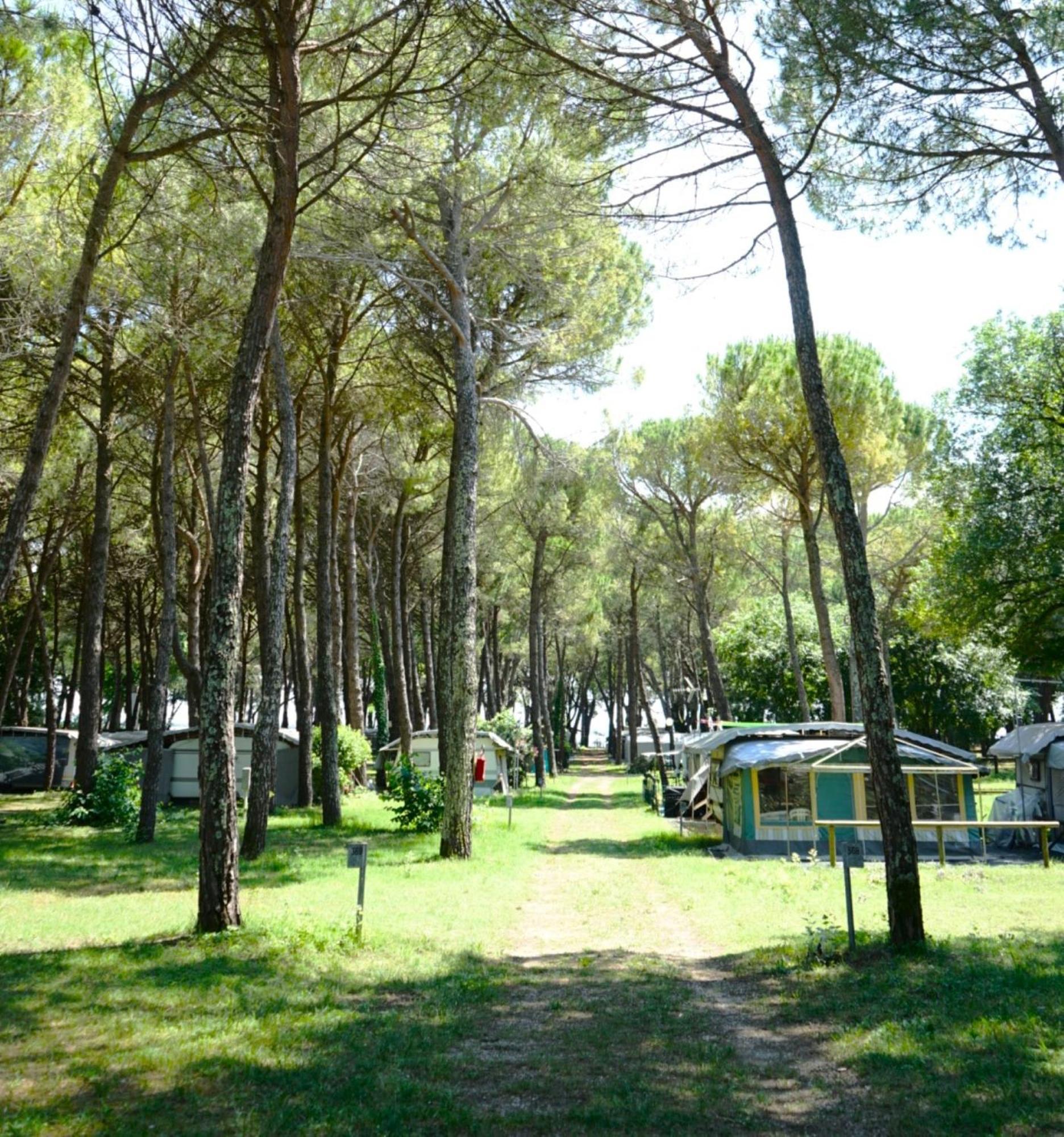 Belvedere Pineta Camping Village Grado المظهر الخارجي الصورة