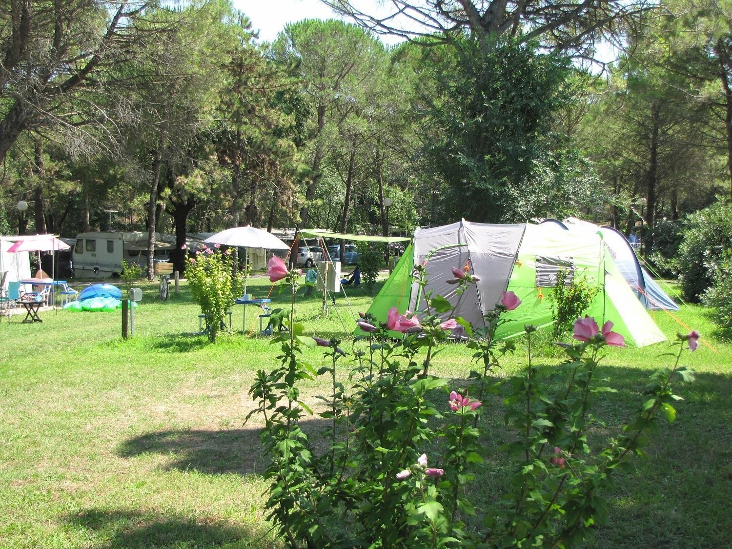 Belvedere Pineta Camping Village Grado المظهر الخارجي الصورة