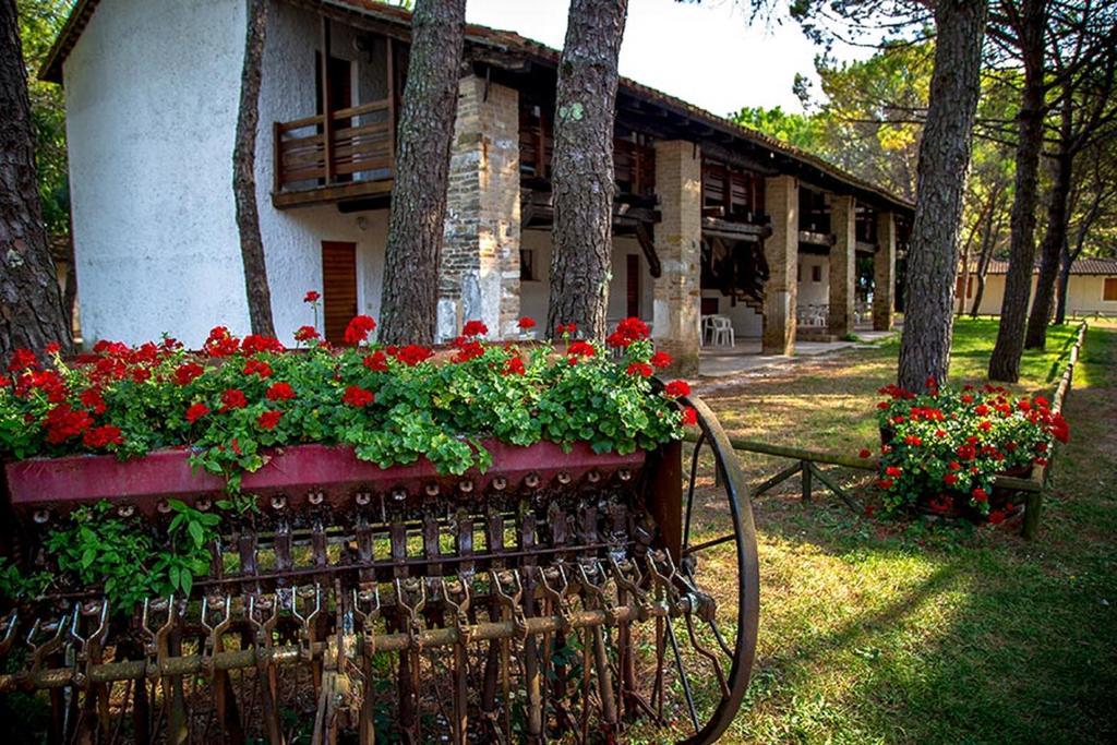 Belvedere Pineta Camping Village Grado المظهر الخارجي الصورة