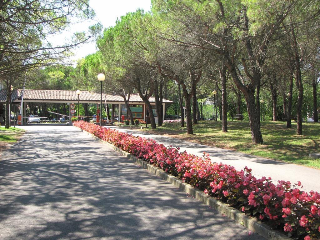 Belvedere Pineta Camping Village Grado المظهر الخارجي الصورة